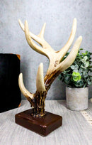 Ebros Rustic Buck Deer Antler Jewelry Accessories Holder Hook Stand 10.25"H