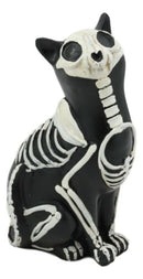 Ebros Day of The Dead Bone Skeleton Cat Statue Halloween X-Ray Decor Collectible Crazy for Cats Figurine (Male Cat)