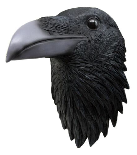 Ebros Large Black Raven Crow Scavenger Bird Wall Plaque 14.5" Tall Home Decor