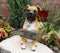 Ebros Large Adorable Fawn Boxer Garden Greeter Statue With Jingle Collar 13.25" Tall