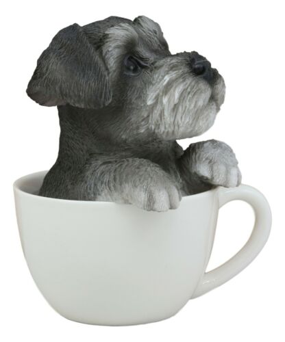 Realistic Grey Adorable Schnauzer Dog In Teacup Statue 5.75" Tall Pet Pal Dog