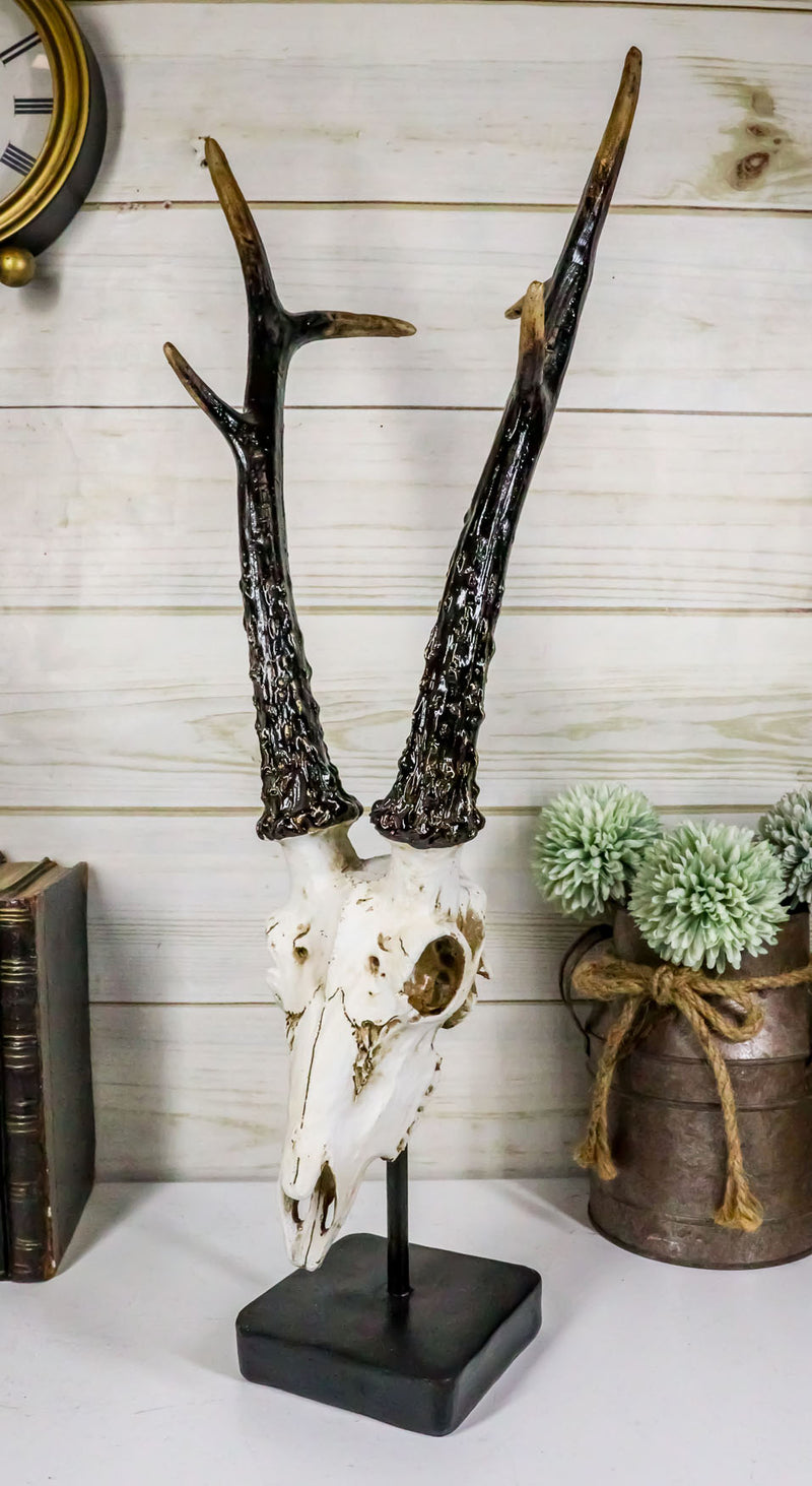 Large 19"H Rustic African Gazelle Antelope Bust Head Sculpture With Trophy Base