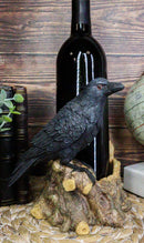 Macabre Potion Raven Crow Nevermore Perching On Tree Stump Wine Bottle Holder