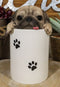 Ceramic Pug Puppy Dog Hiding and Peeking Dry Storage Jar With Paw Prints Decor