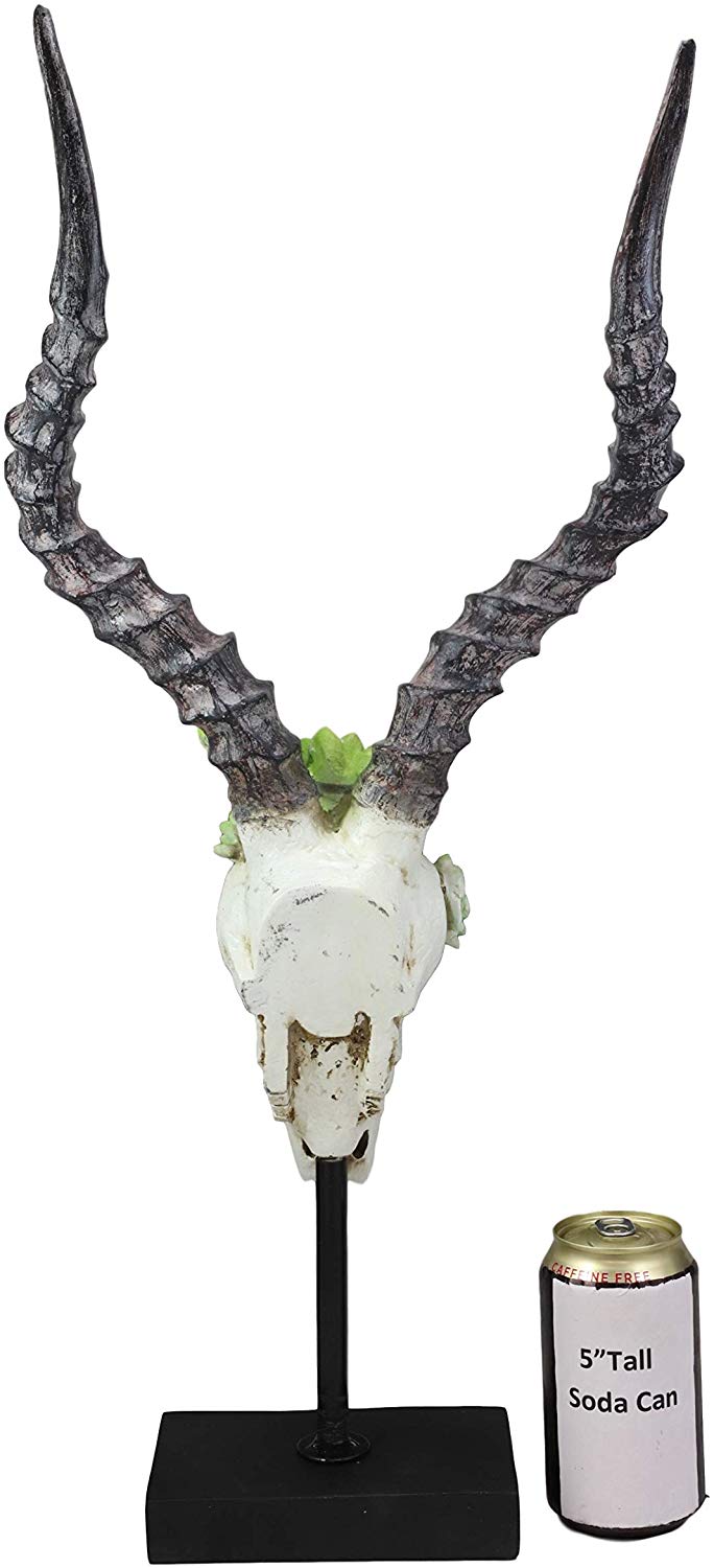 Ebros Western Vintage Aged Faux Taxidermy Greater Kudu Antelope Animal Totem Skull Head with Painted Flowering Succulents On Museum Gallery Mount Decor 3D Statue Replica Skulls Plaque Sculpture