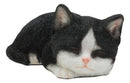 Ebros Lifelike Sleeping Tuxedo Black and White Cat Statue 7" Long Pet Pal Kitten Decor Figurine