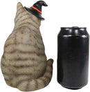 Ebros Gray Tabby Cat with Wizard Witches Hat Collectible Home Decor Figurine