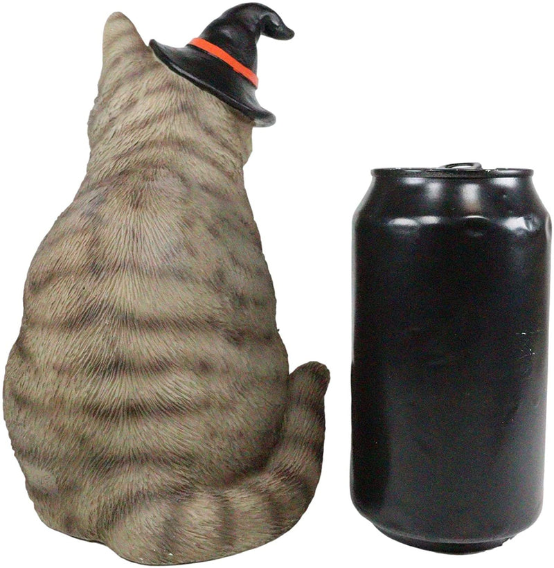 Ebros Gray Tabby Cat with Wizard Witches Hat Collectible Home Decor Figurine