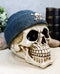 Ebros Gangster Thug Skull With Blue Crossbones Beanie Hat Figurine 6"L Skeleton Skulls