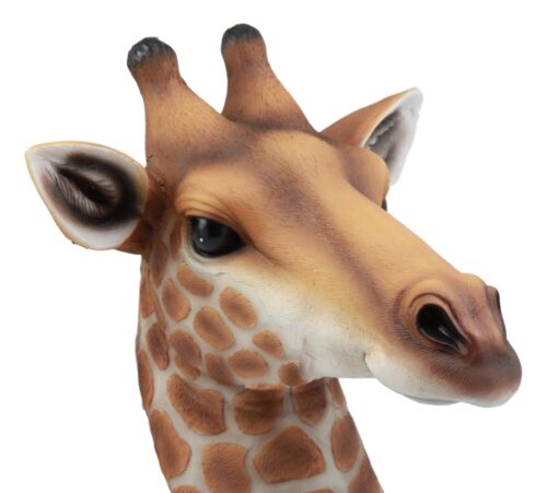 Ebros Kenya The Safari Giraffe Head Wall Decor Wildlife Animal Trophy Taxidermy Sculpture Hanging Plaque Figurine