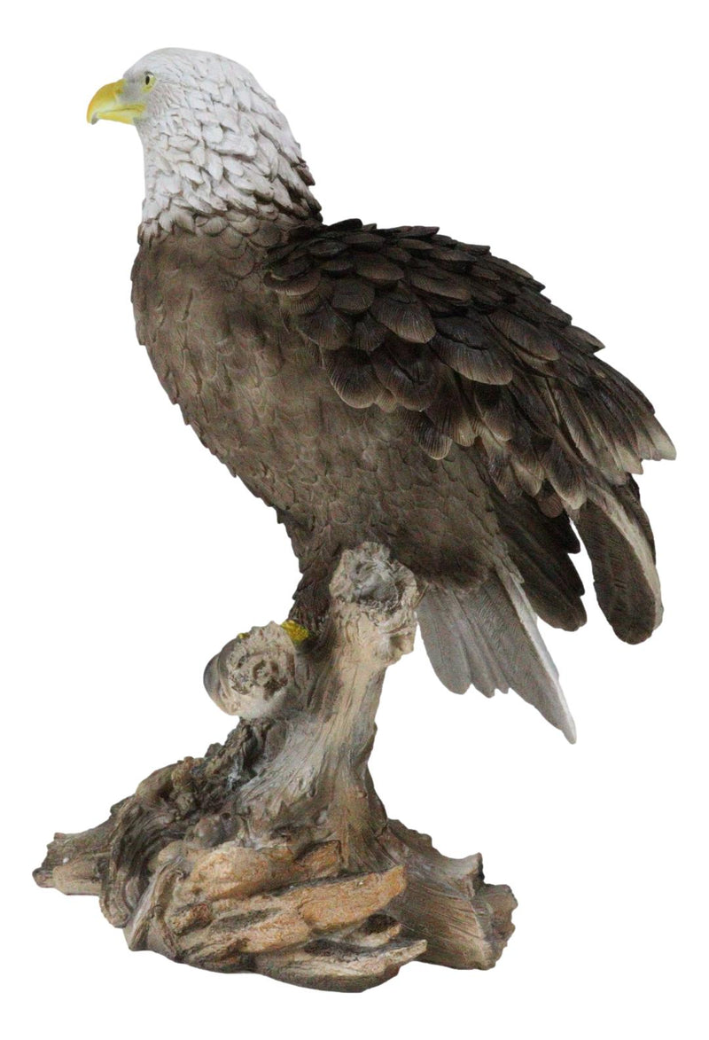 Realistic American Pride Patriotic Bald Eagle Perching On Wood Stock Statue 17"H