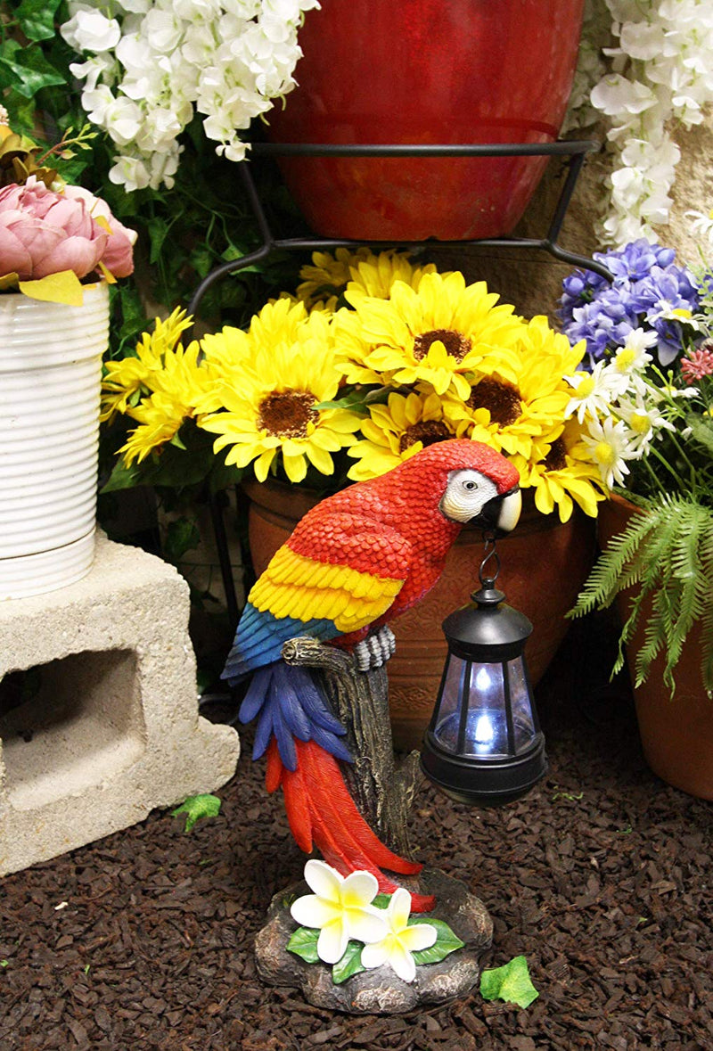 Ebros 14" Tall Red Scarlet Macaw Parrot Perching On Tree Stump Statue with Solar LED Lantern Light Path Lighter Home Garden Patio Parrots