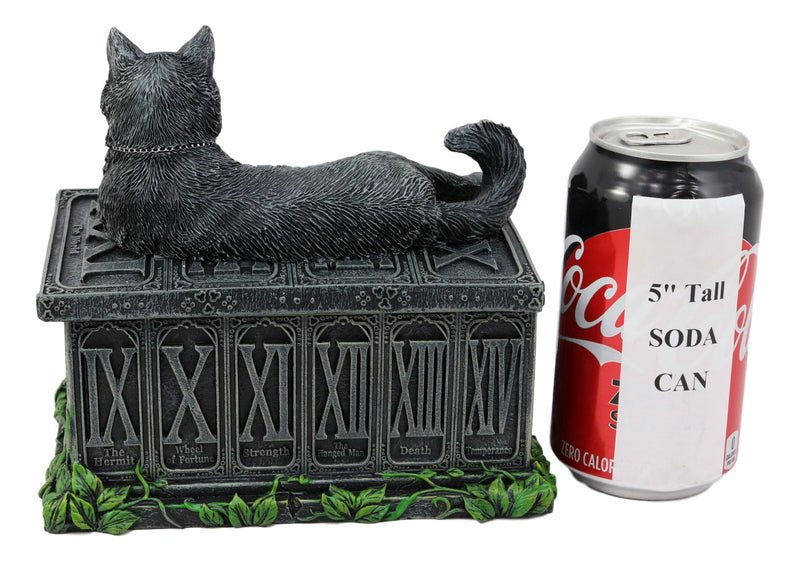 Ebros Black Cat with Pentacle Necklace Fortune's Watcher Tarot Card Deck Holder Jewelry Box Figurine with Major Arcana Numbers Home Decor Statue of Mystical Feline Cats Wicca Witchcraft Talisman