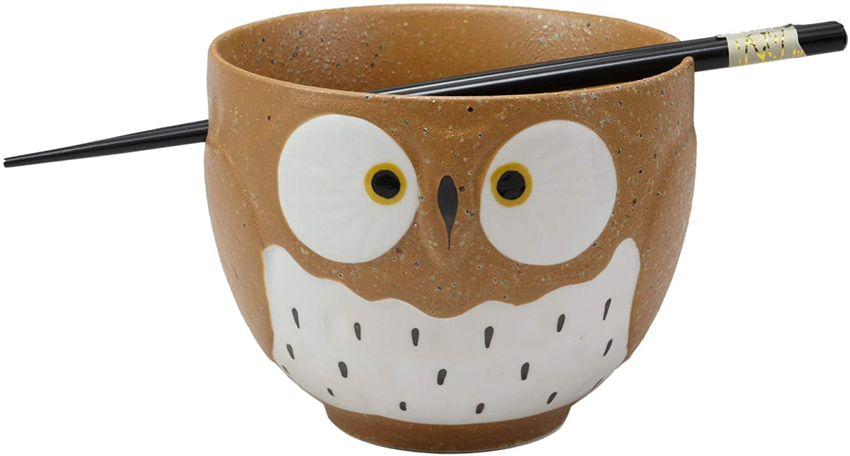 Ebros Whimsical Ceramic Colorful Owl Ramen Bowl and Chopsticks Set of 3