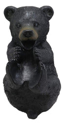 Ebros Rustic Cabin Lodge Drinking Black Bear Wine Holder Kitchen Decor 11.5"L