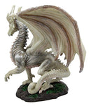 Ebros Fantasy Battle of Thrones Aged Wraith Hydra Wise Old Dragon 8" Tall Figurine