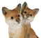 Lifelike Wildlife Woodlands Animal Pet Pals Frolicking Baby Fox Cubs Figurine