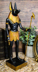 Ebros Ancient Egyptian Mummification God Anubis Classical Figurine 12" Tall