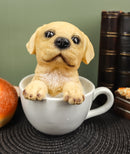 Ebros Realistic Adorable Golden Labrador Puppy in Teacup Statue 6"H