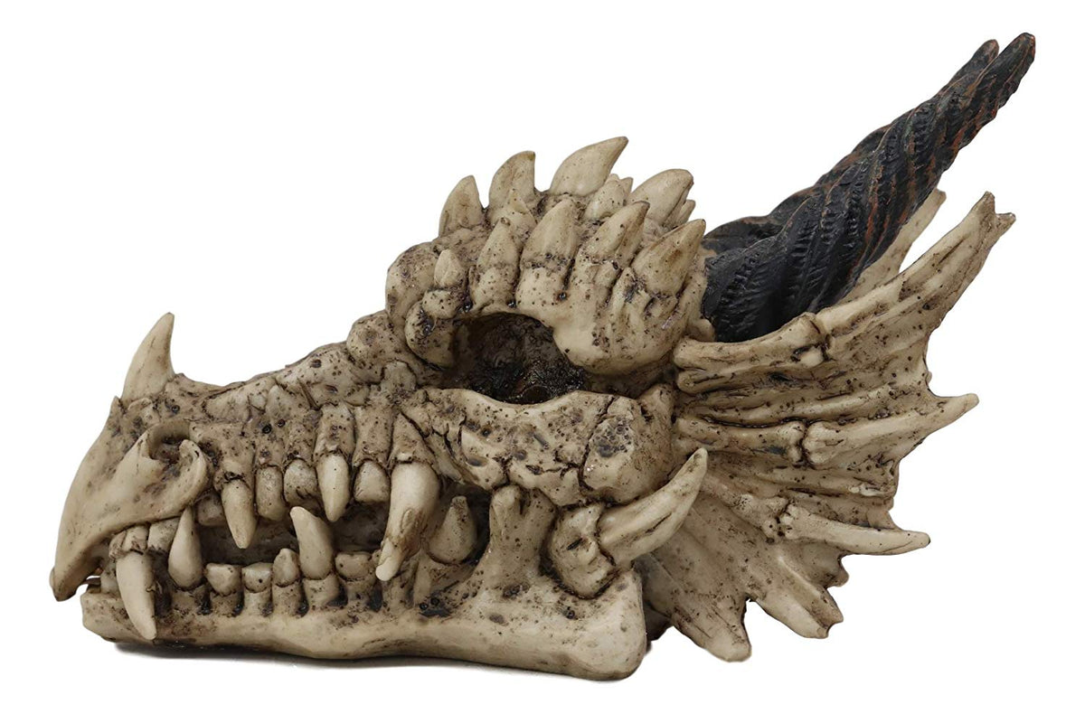Ebros Jurassic Beowulf Elder Dragon Head Skull Realistic Fossil Statue 7.75" L