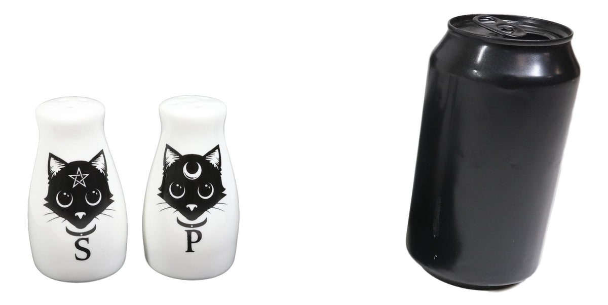 Wicca Magic Sacred Cats Pentacle Crescent Moon Ceramic Salt n Pepper Shakers Set - Ebros Gift
