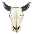 Wildlife Southwestern Rustic Steer Ox Bull Cow Skull Vase Planter Decor Figurine