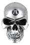 Vault Alchemist Silver Philosophus Magnus Skull Gear Shift Knob Or Paperweight