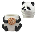 Ebros The Kung Fu Dragon Warrior Giant Panda Ceramic Cookie Jar Collectible Figurine
