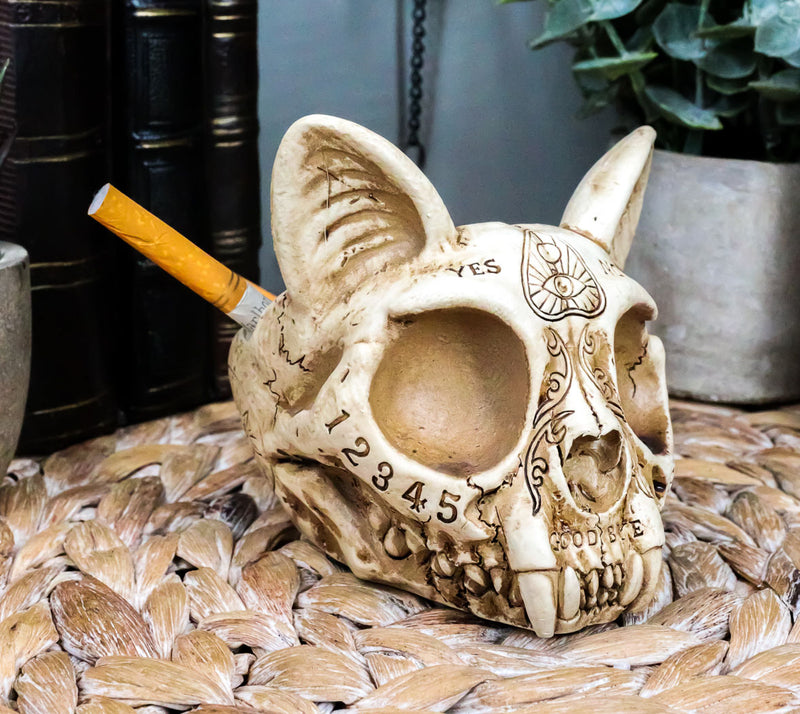 Paranormal Ouija Spirit Medium Cat Skull Ashtray Figurine Supernatural Occultist