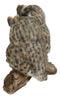 Mystical Forest Great Horned Owlet Owl Birds Couple Pair On Tree Branch Statue