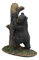 Ebros 5.5" Tall Realistic Black Bear Climbing Tree Trunk Statue Rustic Wildlife Forest Western Cabin Decor Bears Figurine - Ebros Gift