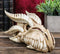 Ebros Dragon Head Skull Realistic Fossil Wall Sculpture Or Desktop Statue 8.25"L