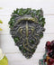 Ebros Celtic Somerset Summer Vines Greenman Hanging Wall Decor Plaque 10.5" High