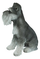 Ebros Large Sitting Realistic Schnauzer Puppy Dog Statue 13"H Pet Pal Pedigree Breed