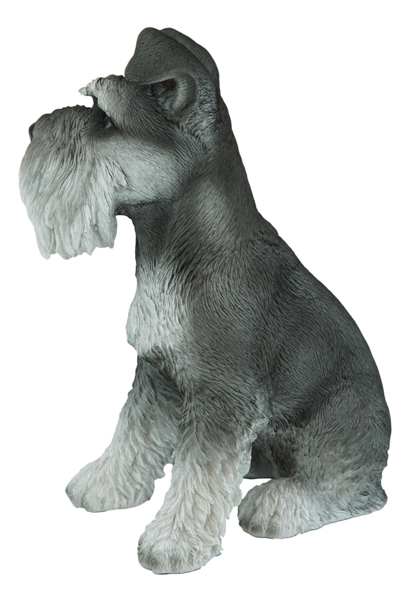 Ebros Large Sitting Realistic Schnauzer Puppy Dog Statue 13"H Pet Pal Pedigree Breed