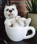 Ebros Realistic Mini Adorable West Highland White Terrier Dog Teacup 3" Tall Figurine