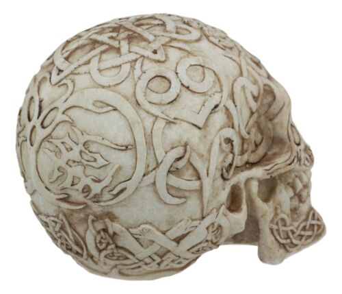 Celtic Astrology Tribal Knotwork Tattoo Relic Skull Statue 6"L Skeleton Cranium