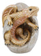 Ebros Raeon Sunlight Dragon Hatchling Breaking Out Of Egg Shell Figurine 5"H