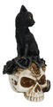 Gothic Black Feline Cat Sitting On Rose Vampire Skull Grimalkin's Ghost Figurine