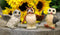 Owls of The World Colorful Nocturnal Birds In Multiple Poses Mini Figurine Set