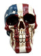 Ebros Patriotic US American Flag Star Spangled Banner Skull Decorative Figurine 5.5"Long Macabre Collectible Statue Historical Pride And Prejudice Freedom Decor of Skulls or Halloween Themed Sculpture