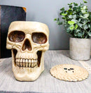 Ebros DOD Ossuary Skull Cranium Coaster Set Statue Holder W/6 Coasters