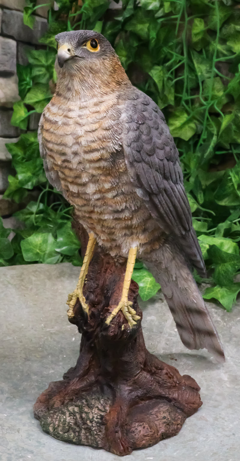 Realistic Hand Painted Eurasian Sparrowhawk Perching On Tree Stump Figurine