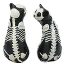 Day Of The Dead Skeleton Cat Statue Set Sugar Skull X-Ray Cats Halloween Figure