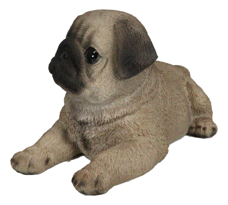 Lifelike Adorable Fawn Pug Puppy Dog Lying On Belly Figurine Pugsy Pet Pal Decor