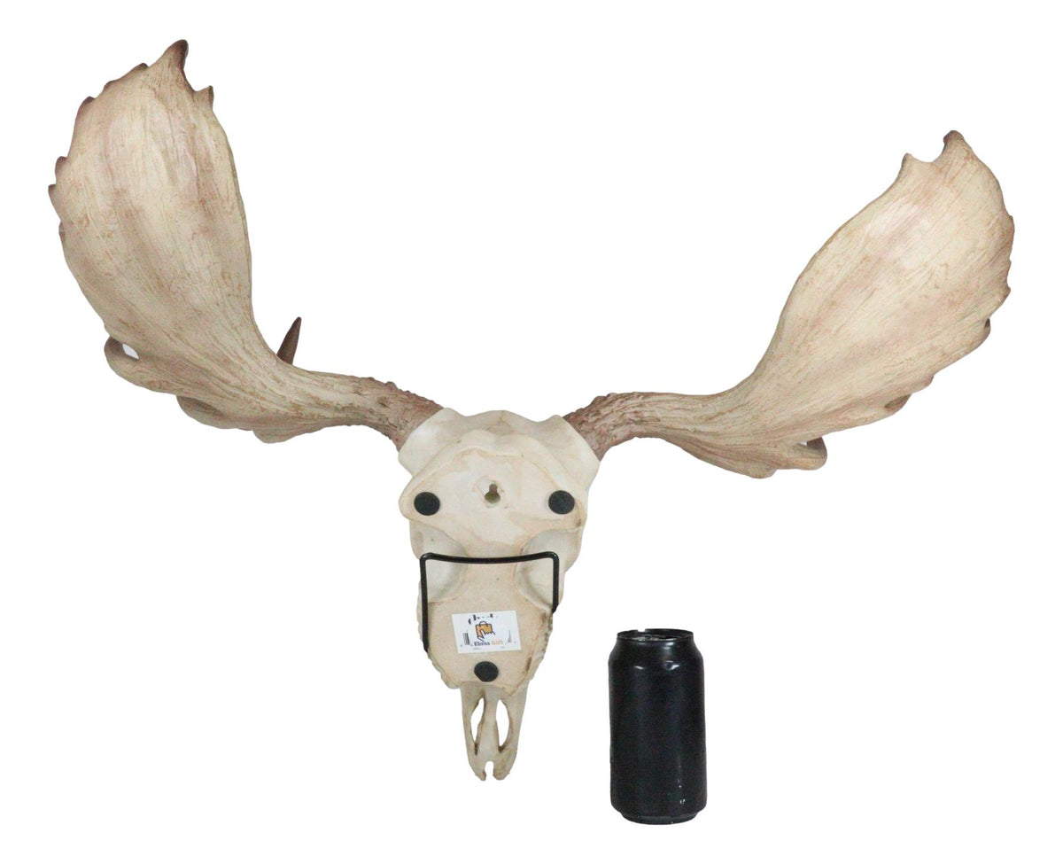 Czar North American Bull Moose Skull Wall Decor 22"Wide Wall Mount Plaque Art