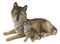 Ebros Alpha Gray Wolf Family Figurine 9.75"L Timber Wolf Mother Resting With Pups