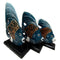 Balinese Wood Handicrafts Blue Tropical Angel Fish Family Set of 3 Figurines