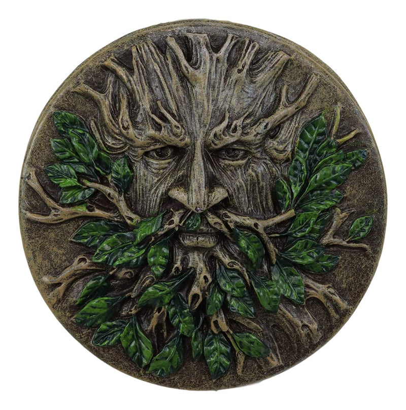 Ebros Wiccan Celtic Forest Spirit Greenman Tree of Life Round Jewelry Box 4.5" Diameter Vegetative Earth Deity Small Trinket Box Figurine