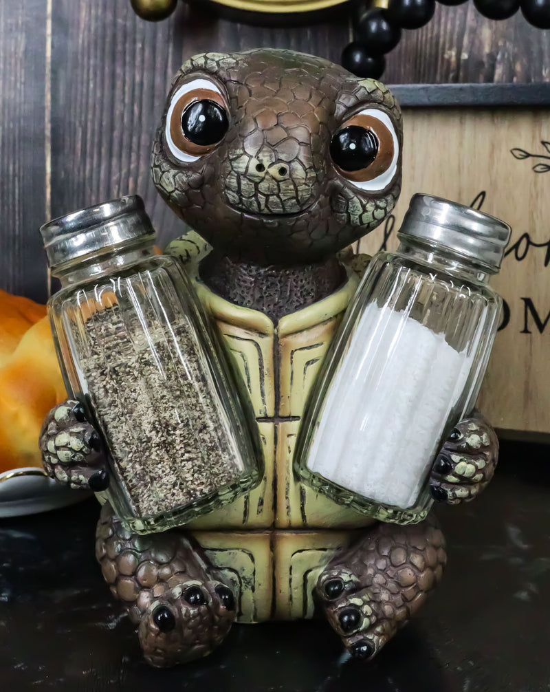 Turtle Shell Shakes Shell Spice Marine Baby Tortoise Turtle Salt And Pepper Shakers Holder ...